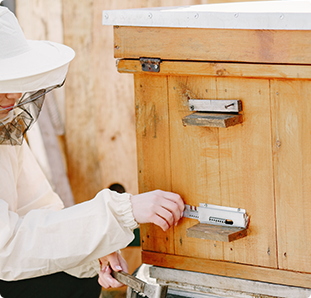 My Neighbor Has Bees, What’s This Mean For Me? 