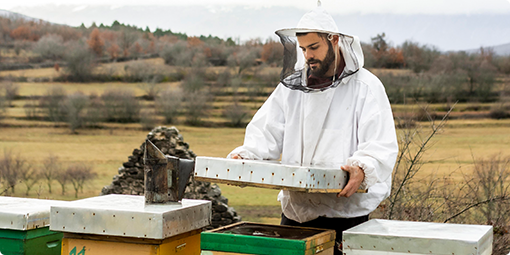 President Appointed First Handler Board Member To National Honey Board